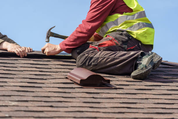 Best Roof Gutter Cleaning  in Marshfield, MO